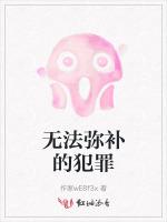 无法弥补的犯罪