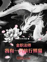 全职法师：我有一只旅行熊猫