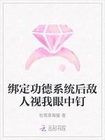 绑定功德系统后敌人视我眼中钉