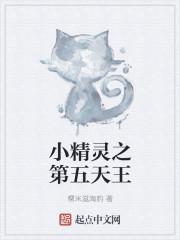 小精灵之第五天王