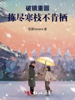 破镜重圆：拣尽寒枝不肯栖