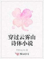 穿过云雾山诗体小说